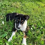 zeus vasquez - @zeus1vasquez - Instagram