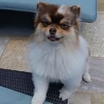 Zeus Vasquez - @vasquezzeus - Instagram