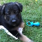 Zeus - @zeus_vasquez_gutierrez - Instagram