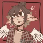 Zev Stein - @vottakiecherti - Instagram