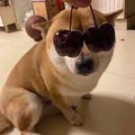 Zexin Chen - @binzhang685 - Instagram