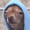 _zeyadzaky_ - @_zeyadzaky_ - TikTok