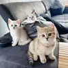 Zeynep - @zeyneparslan284 - TikTok