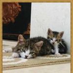 Zeynep Ahmet Ejder - @ejderzeynep - Instagram