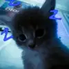 ZeynepveEjder - @zeynepveejder - TikTok