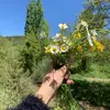 Z.G - @zeynep.guler1 - TikTok