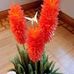 Zeynep Olmez - Facebook
