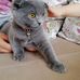 Zeynep Ural - Facebook