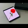 Zhanling - @santamonica1333 - TikTok