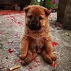 zhanlingkong - @zhanlingkong - TikTok