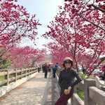 展綾林 - @zhanlinglin - Instagram