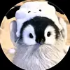 hoangA - @zhanghe54 - TikTok