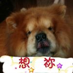 劉兆奇 - @liu.zhaoqi - Instagram