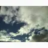Zhaoqi Liu - @zhaoqiliu - TikTok