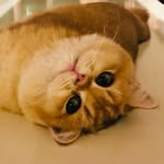 Zhen Pang - @zhenpang0329 - Instagram