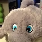 Zhen Pang - @zhen.pang.14 - Instagram