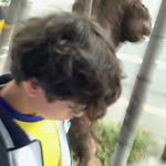 王震謙 - @zhenqianw - Instagram