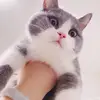 Zhen Wen - @user197144779 - TikTok