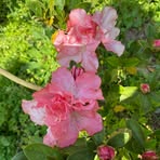 Zhen Wen - Facebook