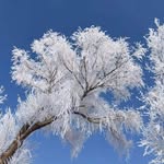 Zhenyu Chen - @zhenyu1782 - Instagram