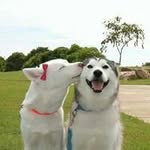 邱真宇 - @zhenyu.qiu - Instagram
