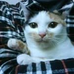 Zhenyu Qiu - @zhenyu_q - Instagram