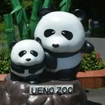 小宇 - @zhenyu_shen - Instagram
