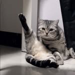 Zhenyu Shen - @sszy518 - Instagram