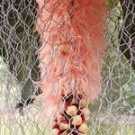 Zhenzhen Zhang - @zhenzhenzhang14 - Instagram