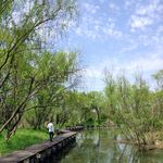 Zhipeng Li - @zhipeng.li.790 - Instagram