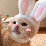 Chih Ting - @zhiting_liang - Instagram