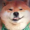 wangzhixiang - @wangzhixiang01 - TikTok