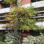Zhixiang Wang - @zhixiang7245 - Instagram