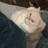 Zhixiang Wang - @zhixiangwang4 - TikTok