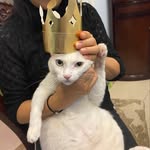 周瀚文 - @zhouhanwen123 - Instagram