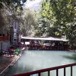 Ziad Bitar - @ma7mo7mi7 - Instagram