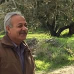 Ziad Hamad - Facebook