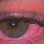 Ziad Aljaber - @ziad_al_jaber - Instagram