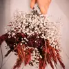Ziad Jaber - @bellaspoza - TikTok