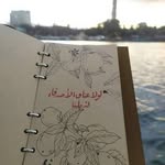 @ziad.shami0 - Instagram