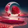 Ziad Shami - @ziad.shami72 - TikTok