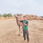 Ziad Shami - @zyd47641 - Instagram