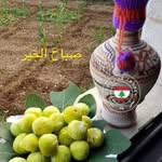 ziad - @ziad_shami11 - Instagram