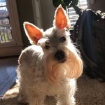 Ziggy Williams - @williams_ziggy0 - Instagram
