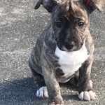 Ziggy Williams - @ziggy0905 - Instagram