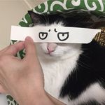 Zimeng Liu - @zimeng.liu.37 - Instagram