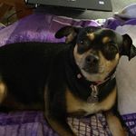 Zina Micklewright - @zinamicklewright - Instagram