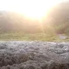 Ziqing Wang - @ziqing09706 - TikTok