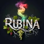 Rubina Ali - @rubina_ziva - Instagram