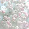 zoeashton - @zoeashton - TikTok
